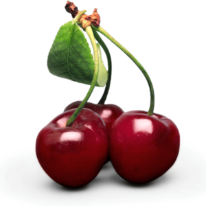 🍒 Sadnice Višnje Šumadinka - Najkrupniji Plodovi među Višnjama 🍒
