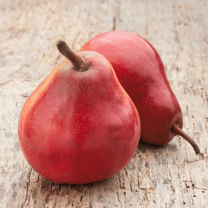 Sadnice Kruške Lubeničarka