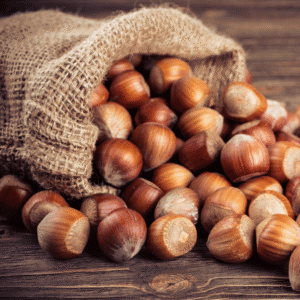 🌰 Sadnice Lešnika Tonda Đentile Romana – Žbun ili Kalem 🌰
