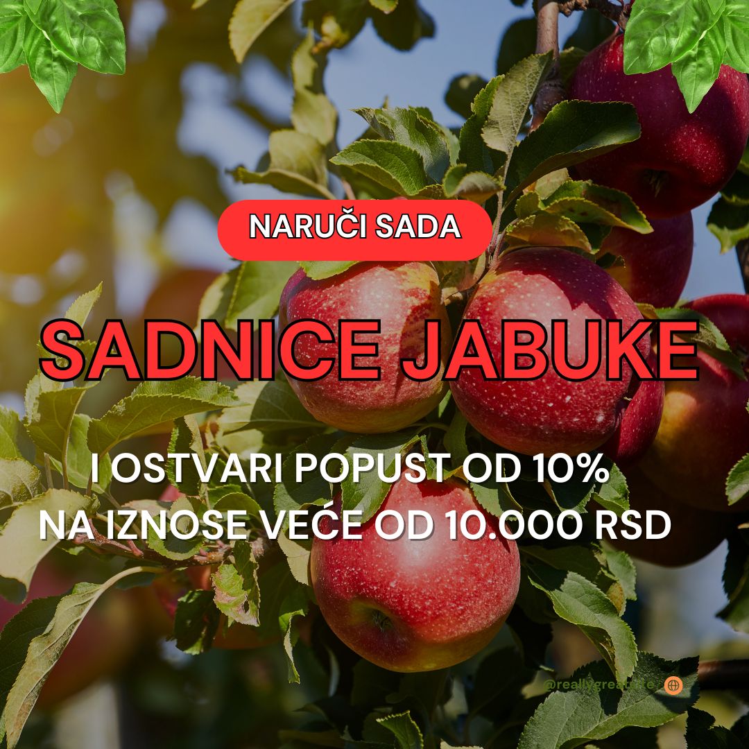Sadnice Sadnice Voca – Kvalitetne Sadnice voća za Vaš Voćnjak