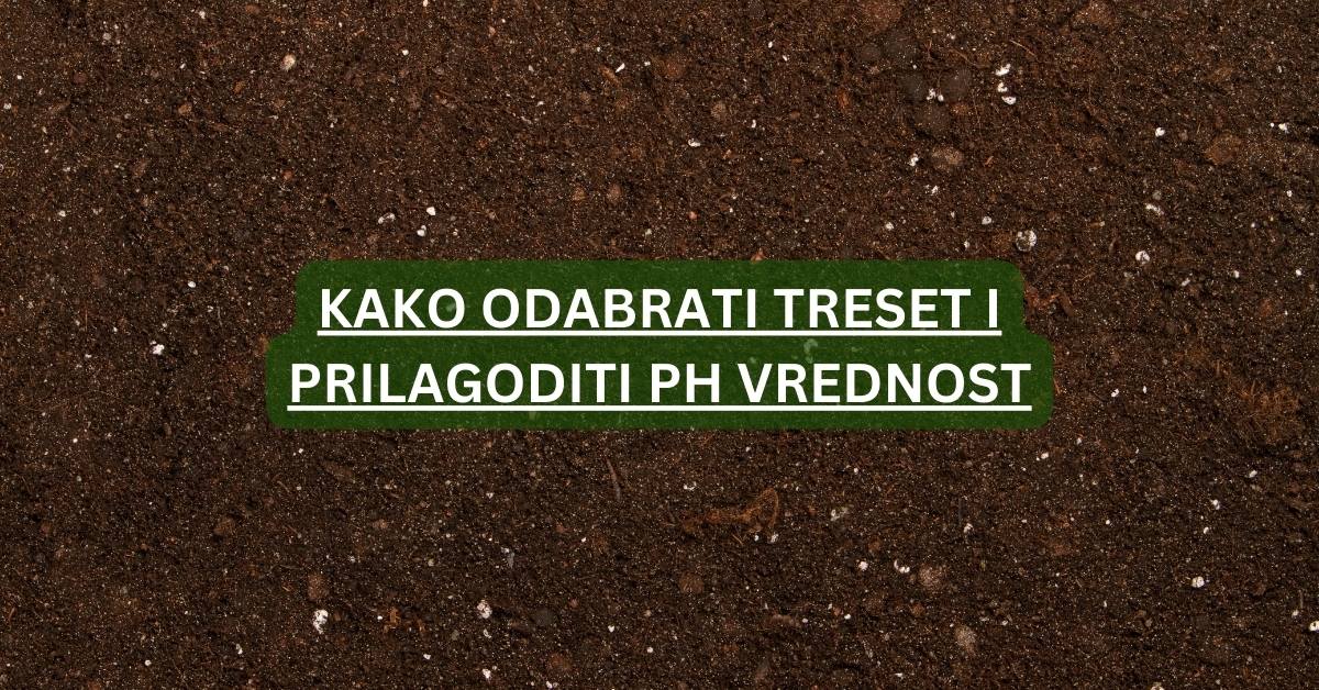Kako odabrati pravi treset i prilagoditi pH vrednost vašim biljkama