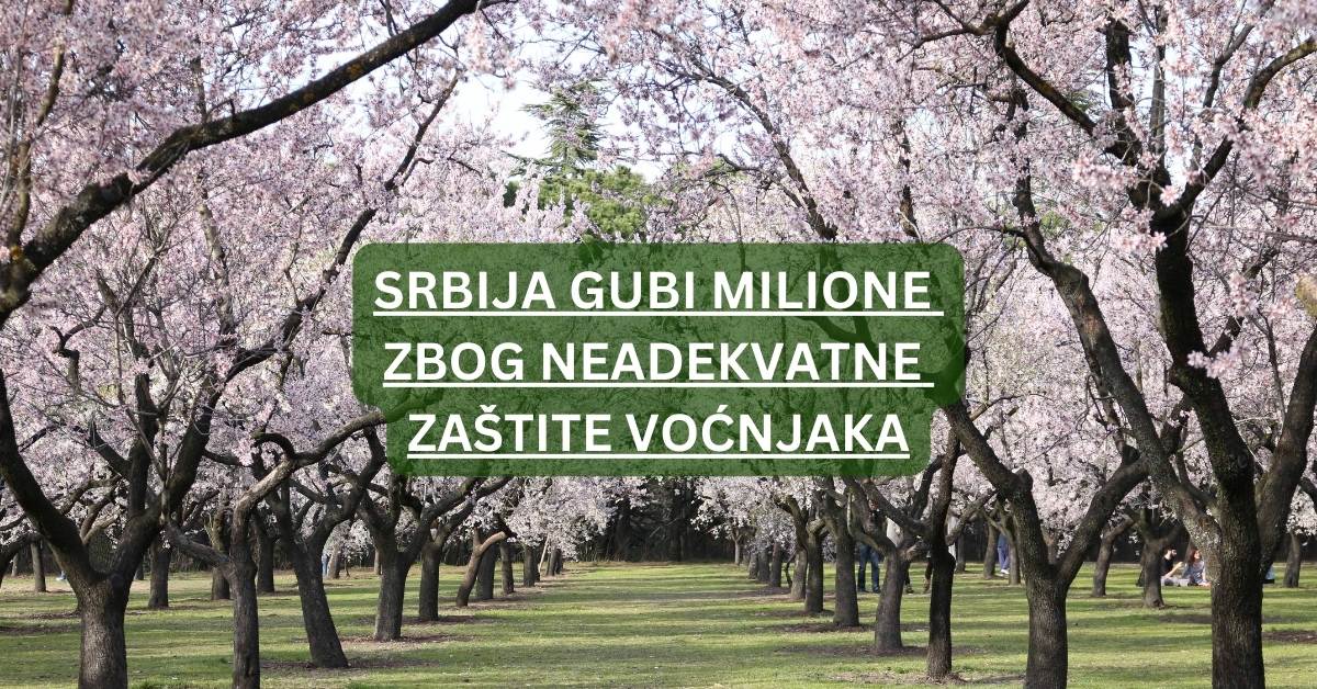 Srbija gubi milione zbog neadekvatne zaštite voćnjaka