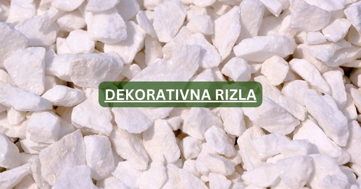 dekorativna rizla