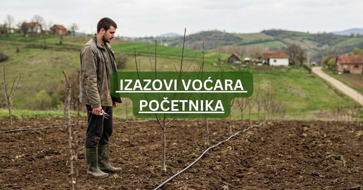 Izazovi voćara početnika