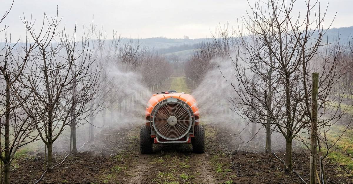 Zaštita voća u februaru, prskanje voća