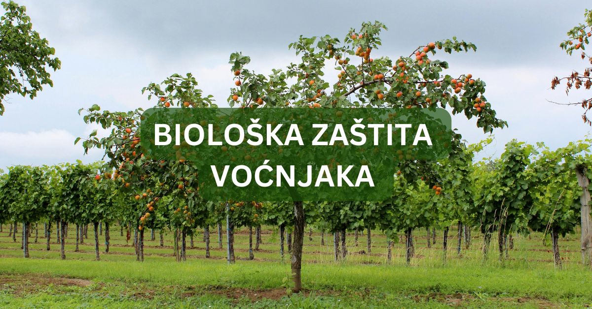 Biološka zaštita voćnjaka 2026