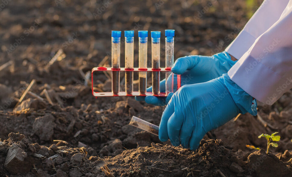 Field soil samples for analysis. Selective focus.